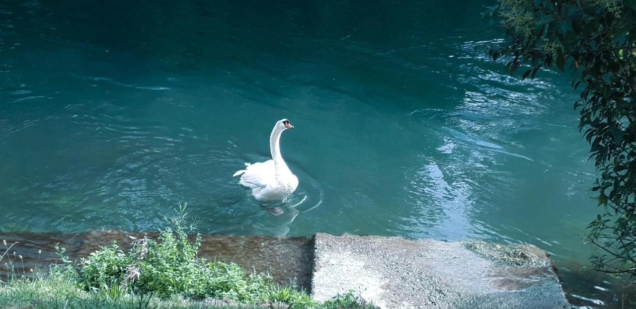 Ampio Appartamento Vicino Al Centro Di Treviso, Parcheggio Gratuito Zewnętrze zdjęcie