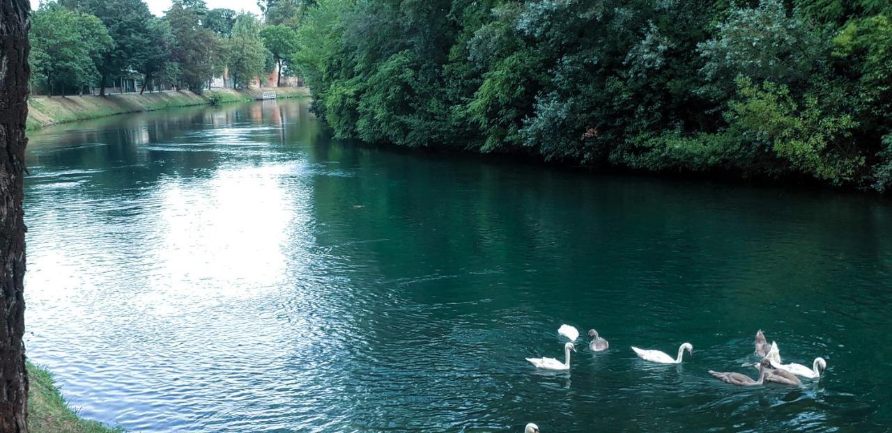 Ampio Appartamento Vicino Al Centro Di Treviso, Parcheggio Gratuito Zewnętrze zdjęcie